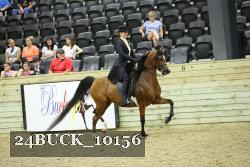 24BUCK_10156 thumbnail