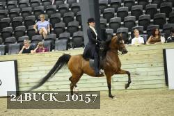 24BUCK_10157 thumbnail