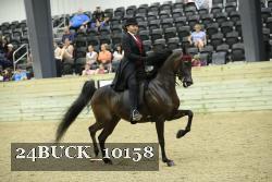 24BUCK_10158 thumbnail