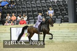 24BUCK_10159 thumbnail