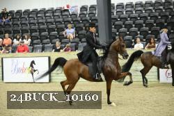 24BUCK_10160 thumbnail