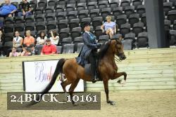 24BUCK_10161 thumbnail