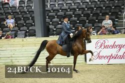 24BUCK_10164 thumbnail