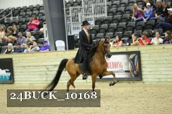 24BUCK_10168 thumbnail