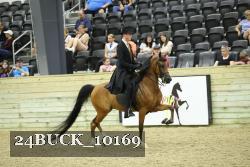 24BUCK_10169 thumbnail