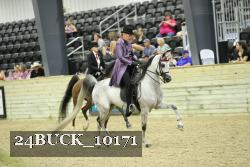 24BUCK_10171 thumbnail