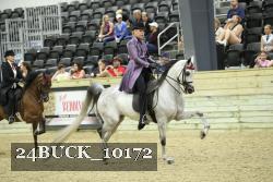 24BUCK_10172 thumbnail