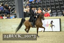 24BUCK_10173 thumbnail
