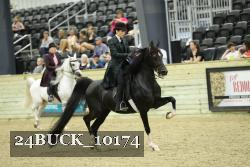 24BUCK_10174 thumbnail