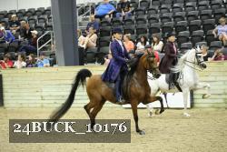 24BUCK_10176 thumbnail