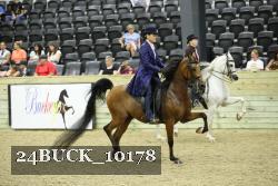 24BUCK_10178 thumbnail