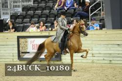 24BUCK_10180 thumbnail
