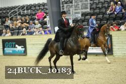 24BUCK_10183 thumbnail