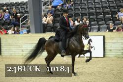 24BUCK_10184 thumbnail