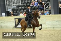 24BUCK_10185 thumbnail