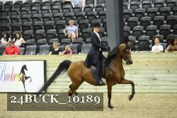 24BUCK_10189 thumbnail