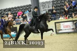 24BUCK_10193 thumbnail