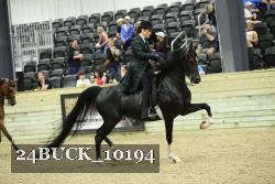 24BUCK_10194 thumbnail