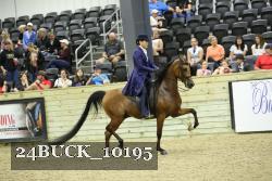 24BUCK_10195 thumbnail