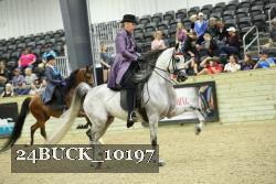 24BUCK_10197 thumbnail