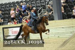 24BUCK_10198 thumbnail