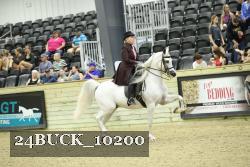 24BUCK_10200 thumbnail