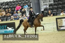 24BUCK_10202 thumbnail