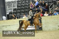24BUCK_10205 thumbnail