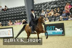 24BUCK_10207 thumbnail