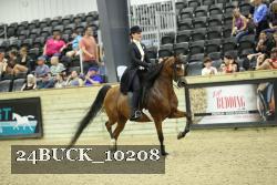 24BUCK_10208 thumbnail