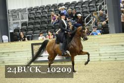 24BUCK_10209 thumbnail