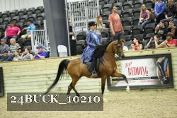24BUCK_10210 thumbnail