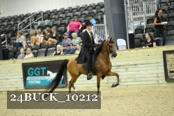 24BUCK_10212 thumbnail