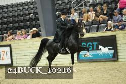 24BUCK_10216 thumbnail