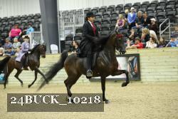 24BUCK_10218 thumbnail