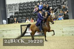 24BUCK_10220 thumbnail