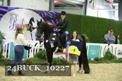 24BUCK_10227 thumbnail