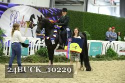 24BUCK_10229 thumbnail