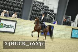 24BUCK_10231 thumbnail