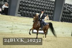24BUCK_10232 thumbnail