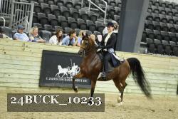 24BUCK_10233 thumbnail