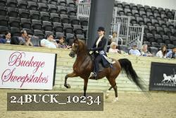 24BUCK_10234 thumbnail