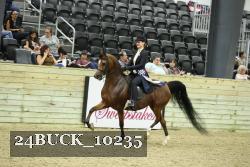 24BUCK_10235 thumbnail