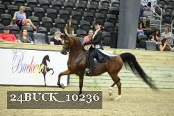 24BUCK_10236 thumbnail