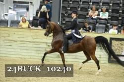 24BUCK_10240 thumbnail
