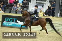 24BUCK_10243 thumbnail