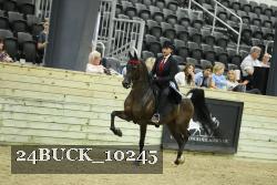 24BUCK_10245 thumbnail