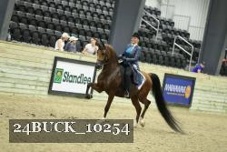 24BUCK_10254 thumbnail