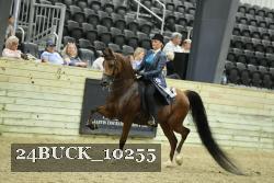 24BUCK_10255 thumbnail