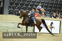 24BUCK_10260 thumbnail